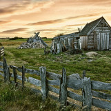 Texel