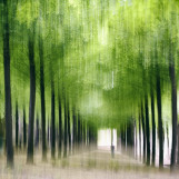 Parc Bercy