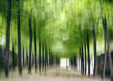 Le portfolio d Helene GUILLARD