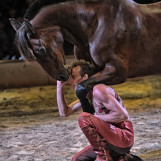 Les arts du cirque 03
