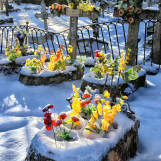 04 -Cimetière de Smolensk
