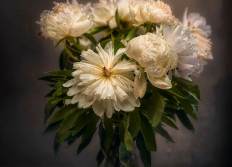 Nature Morte