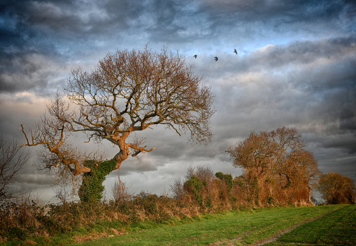 Campagne Normande