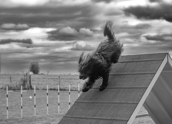 Agility — Catherine FRANGUIDES