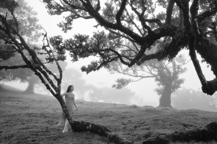 Apparition — Hélène GUILLARD